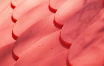 Ickham plastic roof costs